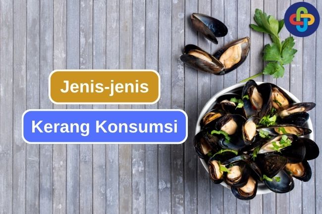 6 Jenis Kerang Konsumsi yang Umum Dinikmati